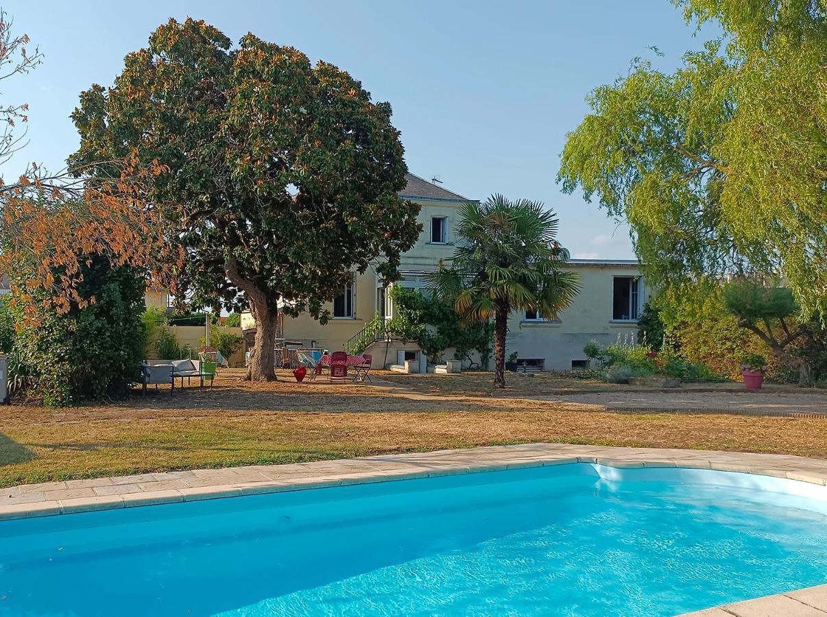 Le Magnolia, Chambre D'Hote Au Calme Saumur Exterior foto